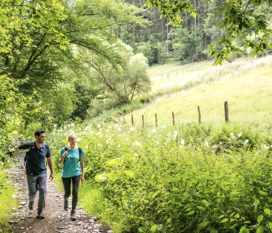 Wanderer auf Wanderwegen durch Wald und Wiesen., © Eifel Tourismus GmbH, Dominik Ketz Wanderer auf Wanderwegen durch Wald und Wiesen., © Eifel Tourismus GmbH, Dominik Ketz