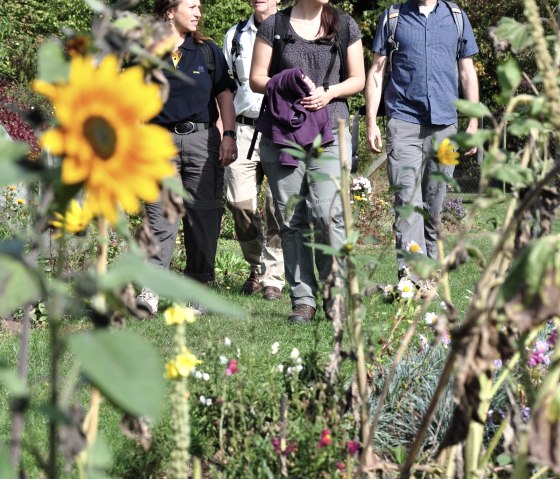 Römerkanal-Wanderweg Etappe 4, © Wandermagazin/ N. Glatter Römerkanal-Wanderweg Etappe 4, © Wandermagazin/ N. Glatter