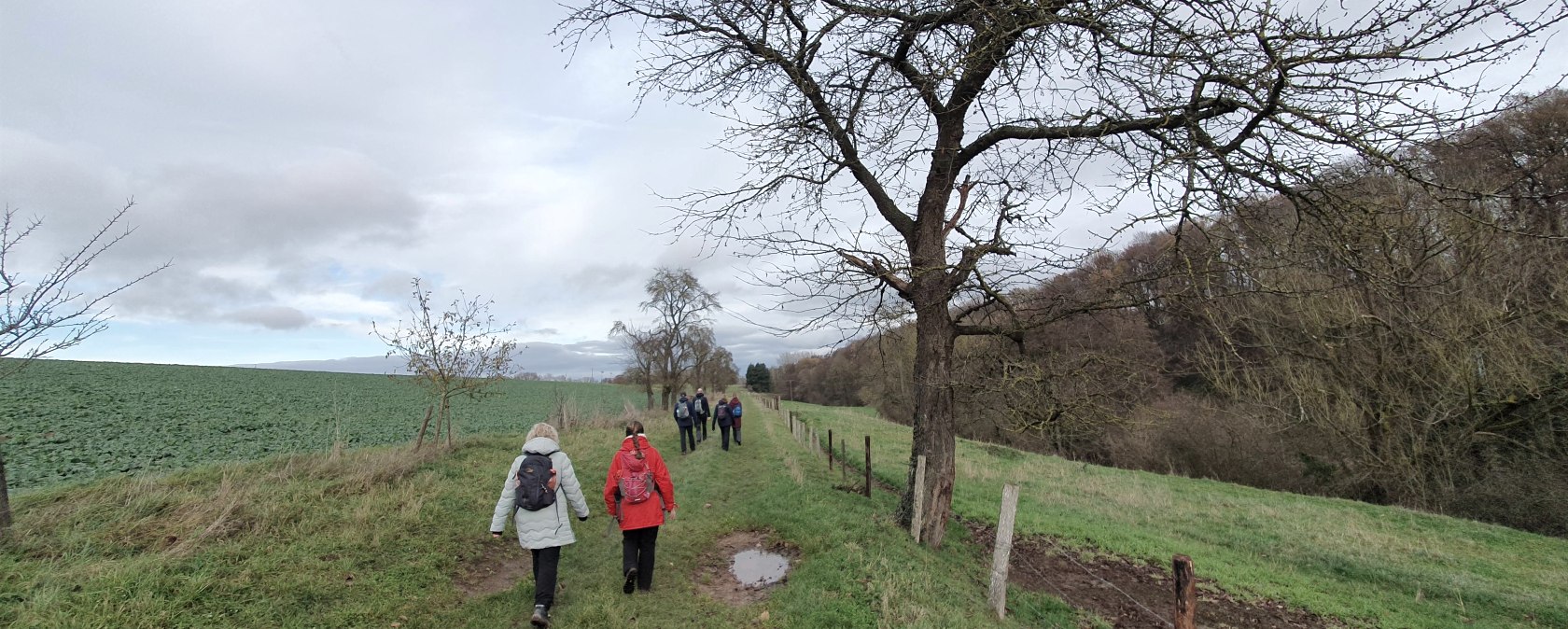Eickser Busch, © Der Weggefährte - Michael Schulze Aktivtouren Eickser Busch, © Der Weggefährte - Michael Schulze Aktivtouren