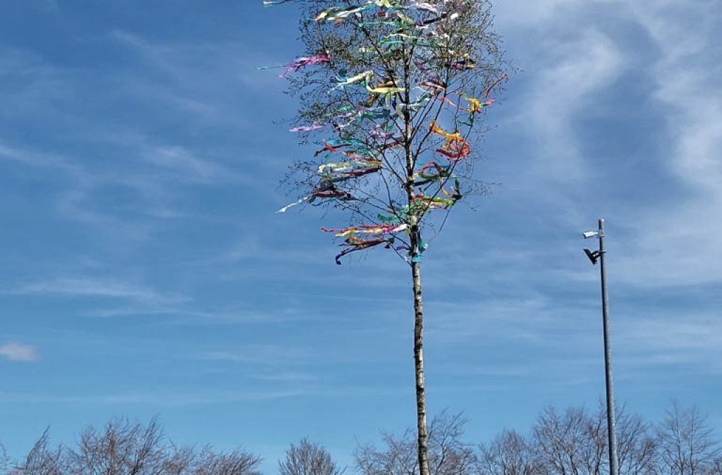 Maibaum - web Maibaum - web