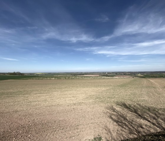 Blick in die Bördelandschaft, © Rureifel-Tourismus e.V. Blick in die Bördelandschaft, © Rureifel-Tourismus e.V.