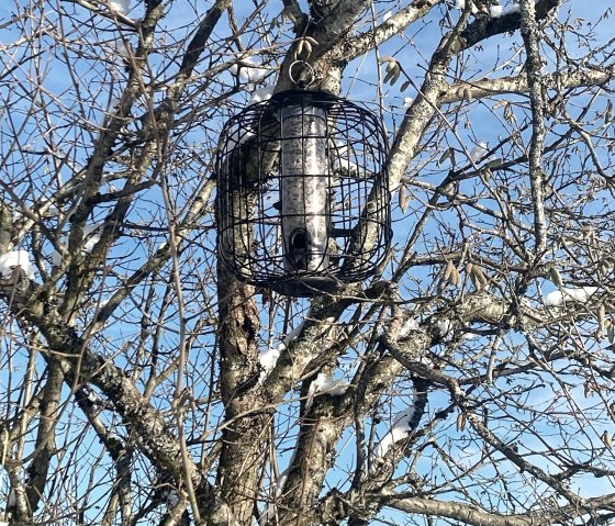 Weisser Stein 17, © Petra Weinberger Weisser Stein 17, © Petra Weinberger