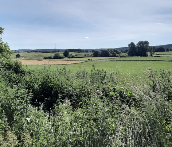 Ausblick, © Jens Mieckley Ausblick, © Jens Mieckley