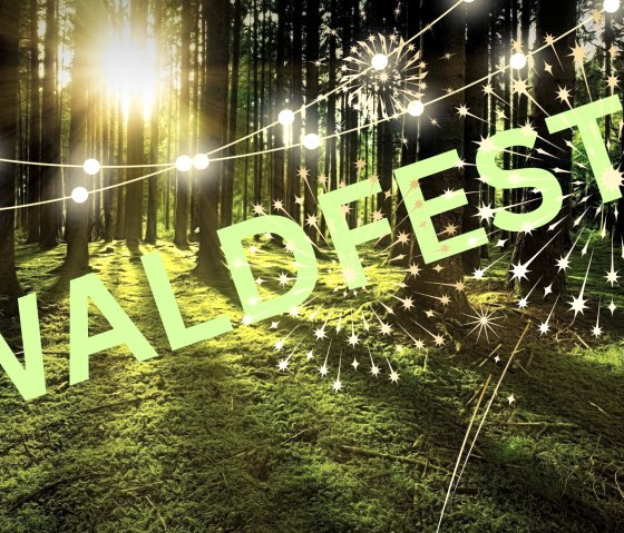 Waldfest, © TV Buir Waldfest, © TV Buir
