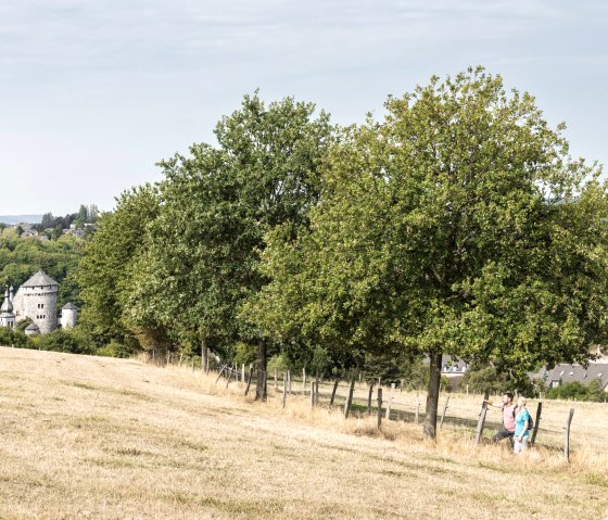 Höhenweg, © Eifel Tourismus GmbH, AR-shapefruitAG Höhenweg, © Eifel Tourismus GmbH, AR-shapefruitAG