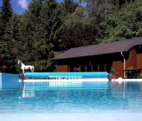 Meerwasserpool Meerwasserpool