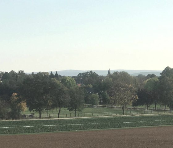 Lage des Landhaus Bachglücks, © Nordeifel Tourismus GmbH & Landhaus Bachglück Lage des Landhaus Bachglücks, © Nordeifel Tourismus GmbH & Landhaus Bachglück
