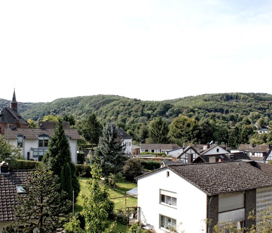 View of the Eifel village View of the Eifel village