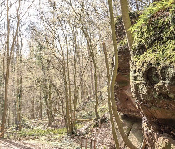 Entdeckungspfad Nideggen - Schüdderfeld, © Rureifel Tourismus GmbH, Jacqueline Niedermeier Entdeckungspfad Nideggen - Schüdderfeld, © Rureifel Tourismus GmbH, Jacqueline Niedermeier