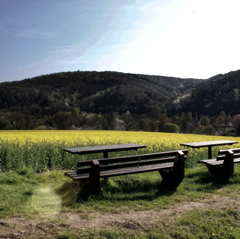 Pause mit Aussicht ins Rapsfeld Pause mit Aussicht ins Rapsfeld