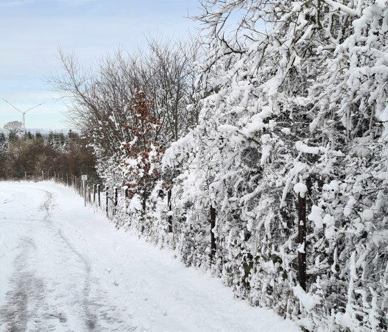 Winterland Abenden Winterland Abenden