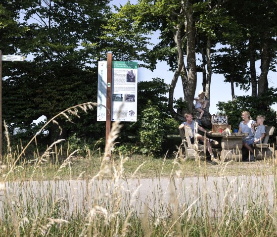 Flurheckenweg Eicherscheid, © Eifel Tourismus GmbH, Tobias Vollmer Flurheckenweg Eicherscheid, © Eifel Tourismus GmbH, Tobias Vollmer