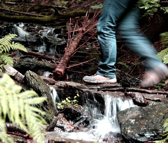 Wandern auf dem Wildnistrail, © G.Priske Wandern auf dem Wildnistrail, © G.Priske