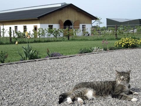 Blick auf den Reiterhof Blick auf den Reiterhof