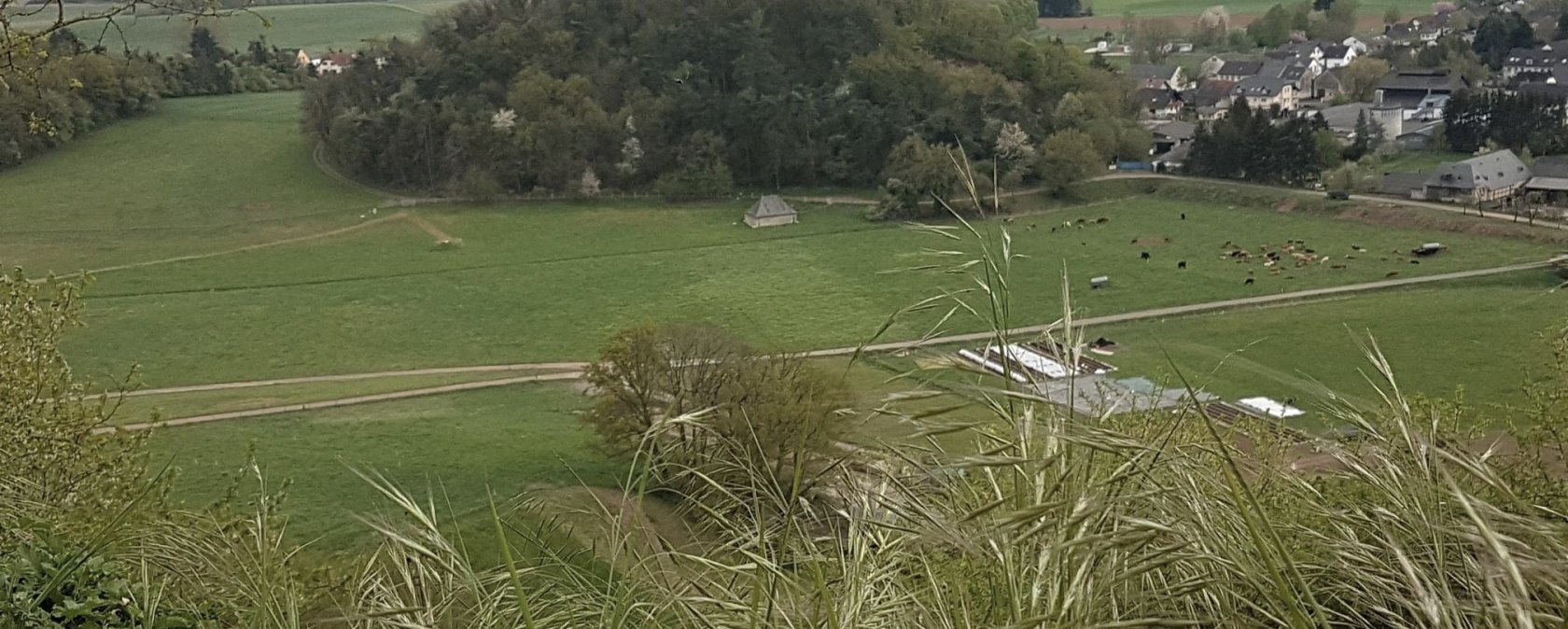 Lüxeberg, © Tourist Information Wittlich Stadt & Land Lüxeberg, © Tourist Information Wittlich Stadt & Land