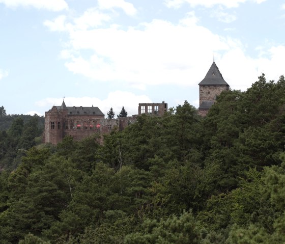 Blick auf Burg Nideggen vom Entdeckungspfad aus, © Eifel Tourismus GmbH, Tobias Vollmer - gefördert durch REACT-EU Blick auf Burg Nideggen vom Entdeckungspfad aus, © Eifel Tourismus GmbH, Tobias Vollmer - gefördert durch REACT-EU
