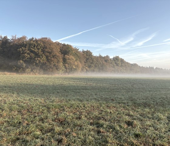 Autumn landscape in the morning, © C. Wolter Autumn landscape in the morning, © C. Wolter