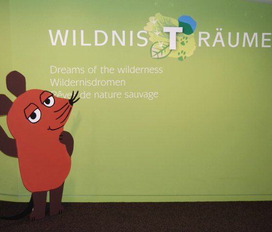 Die Maus im Nationalparkzentrum, © Nationalparkzentrum Eifel Die Maus im Nationalparkzentrum, © Nationalparkzentrum Eifel