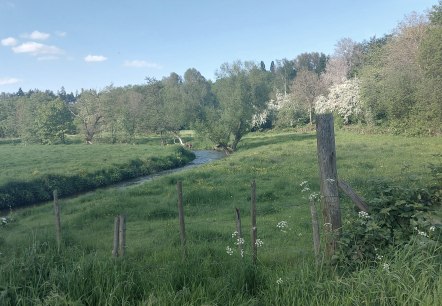 Frühlingsweg Gedau Münsterbach Mai(co) Theißen-Bra Frühlingsweg Gedau Münsterbach Mai(co) Theißen-Bra