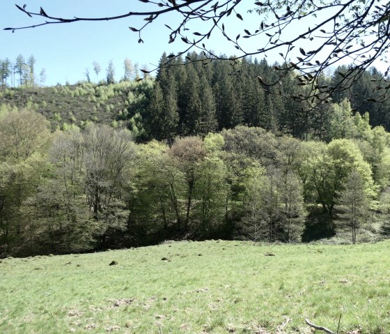 Kalltal, © Eifel heimisch Kalltal, © Eifel heimisch