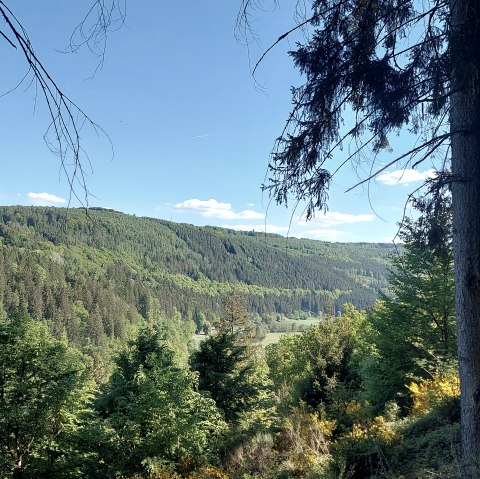 Ausblick Rurtal grün (co) Theißen-Braun Ausblick Rurtal grün (co) Theißen-Braun