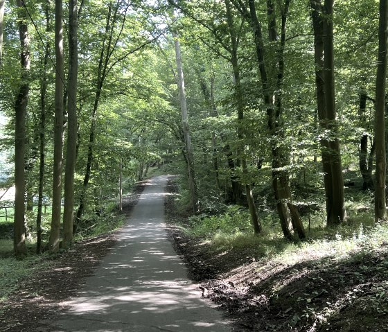 Entlang der Tour, © Rureifel-Tourismus e.V., Michelle Wiesen Entlang der Tour, © Rureifel-Tourismus e.V., Michelle Wiesen