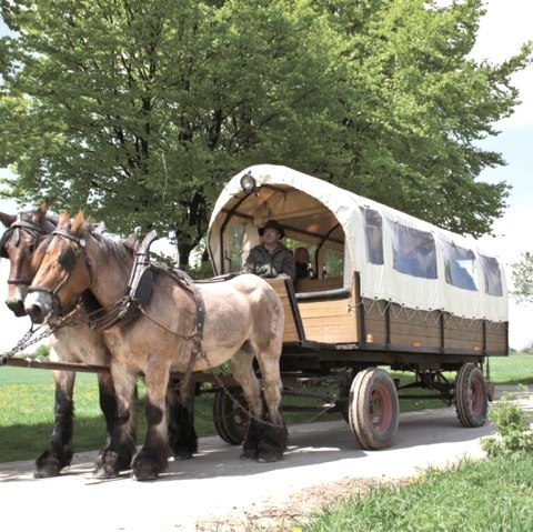 Planwagenfahrten Ungermann, © Gottfried Carls Planwagenfahrten Ungermann, © Gottfried Carls