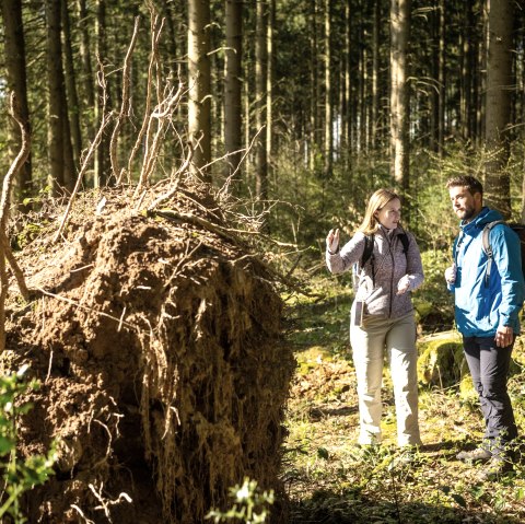 Vichtbach, © Kupferstadt Stolberg, Dominik Ketz Vichtbach, © Kupferstadt Stolberg, Dominik Ketz