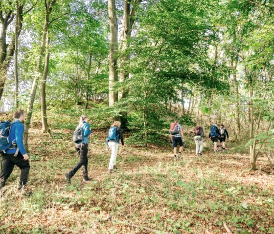 Hiking in the Northern Eifel, © Paul Meixner Hiking in the Northern Eifel, © Paul Meixner