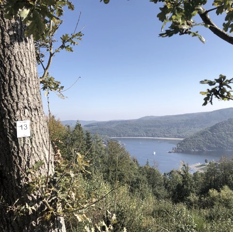 View of the Rursee, © Rursee-Touristik GmbH, Conni Schink View of the Rursee, © Rursee-Touristik GmbH, Conni Schink