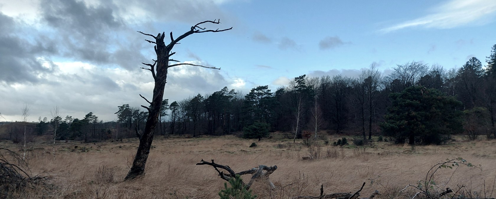 kühle Winterstimmung (co) Theißen-Braun kühle Winterstimmung (co) Theißen-Braun