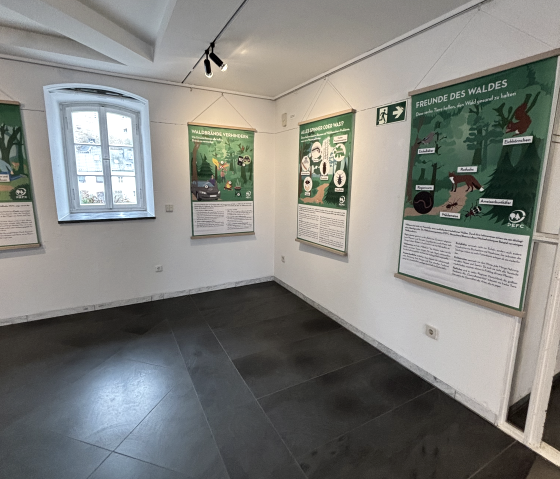 Ausstellung im Eifelmuseum, © Gemeinde Blankenheim Ausstellung im Eifelmuseum, © Gemeinde Blankenheim