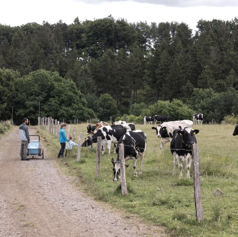 Familie mit Kinderwagen auf Feldweg neben Kuhweide, umgeben von Bäumen., © Eifel Tourismus GmbH, Tobias Vollmer - finanziert durch REACT-EU Familie mit Kinderwagen auf Feldweg neben Kuhweide, umgeben von Bäumen., © Eifel Tourismus GmbH, Tobias Vollmer - finanziert durch REACT-EU