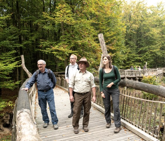 Führung mit Ranger auf dem wilden Weg in Nationalpark Eifel, © Nationalpark Eifel, Dominik Ketz Führung mit Ranger auf dem wilden Weg in Nationalpark Eifel, © Nationalpark Eifel, Dominik Ketz