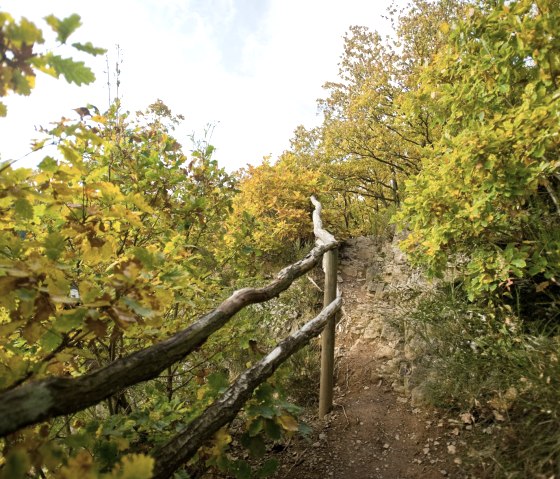 Weg hinauf zur Kuckucksley, einem Aussichtspunkt mit guter Aussicht auf den Ort Olef, © Rheinland-Pfalz Tourismus/D. Ketz Weg hinauf zur Kuckucksley, einem Aussichtspunkt mit guter Aussicht auf den Ort Olef, © Rheinland-Pfalz Tourismus/D. Ketz