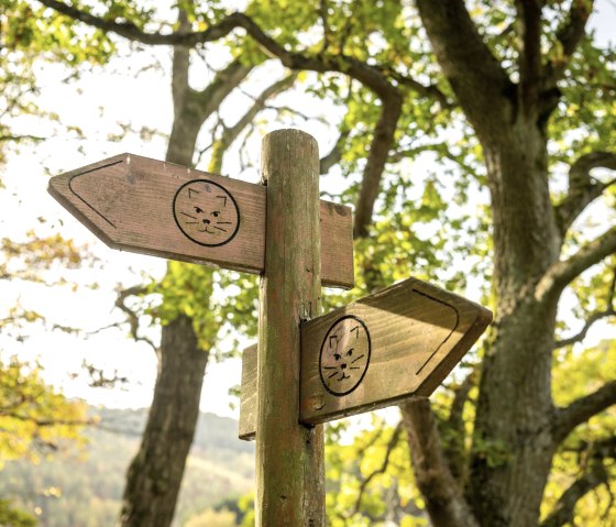 Wilderness Trail signpost, © Eifel Tourismus GmbH, Dominik Ketz Wilderness Trail signpost, © Eifel Tourismus GmbH, Dominik Ketz