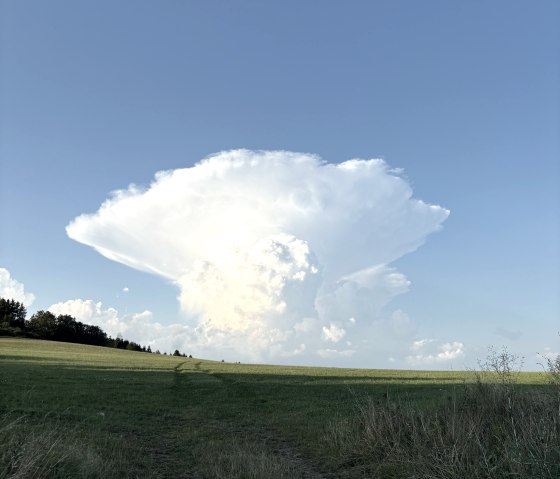 Cloud-Colored, © C. Wolter Cloud-Colored, © C. Wolter