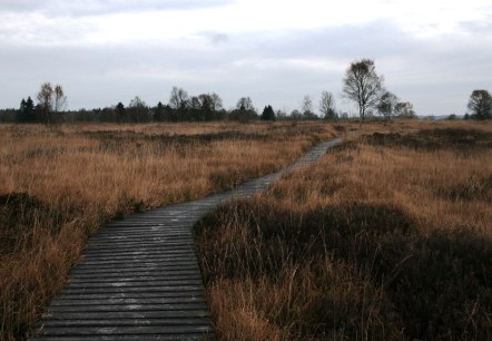 Herbst Morgen, © Monschau Touristik GmbH - Heike Becker Herbst Morgen, © Monschau Touristik GmbH - Heike Becker