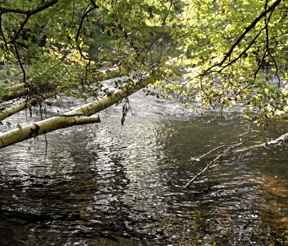 Auch an der Rur gehts vorbei, © Karl-Heinz Rosenzweig, Der-eifelyeti.de, © Der-eifelyeti.de Auch an der Rur gehts vorbei, © Karl-Heinz Rosenzweig, Der-eifelyeti.de, © Der-eifelyeti.de
