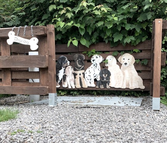 Campingplatz-Hundedusche, © Campingplatz "Zum Jone Bur" Campingplatz-Hundedusche, © Campingplatz "Zum Jone Bur"