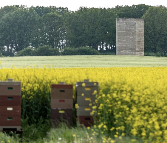 Bruder Klaus Kapelle vor blühemdem Raps, © Eifel Tourismus GmbH, AR - shapefruit AG Bruder Klaus Kapelle vor blühemdem Raps, © Eifel Tourismus GmbH, AR - shapefruit AG