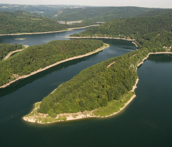 Urft reservoir in the Eifel National Park, © Eifel Tourismus GmbH, Dominik Ketz Urft reservoir in the Eifel National Park, © Eifel Tourismus GmbH, Dominik Ketz