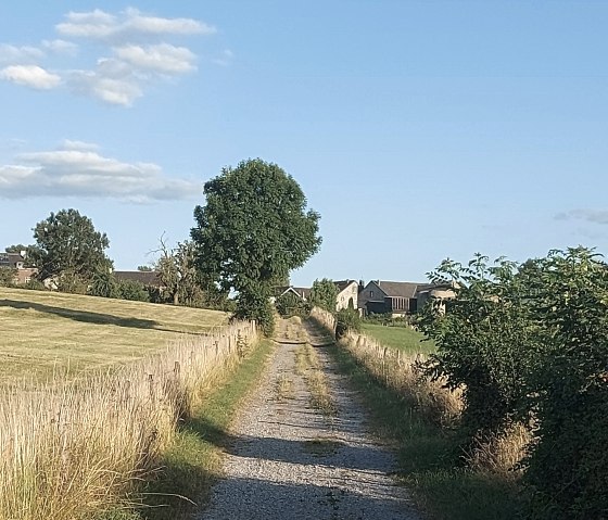 Sommerweg Krauthausen Häuser Juli-August (co) Thei Sommerweg Krauthausen Häuser Juli-August (co) Thei