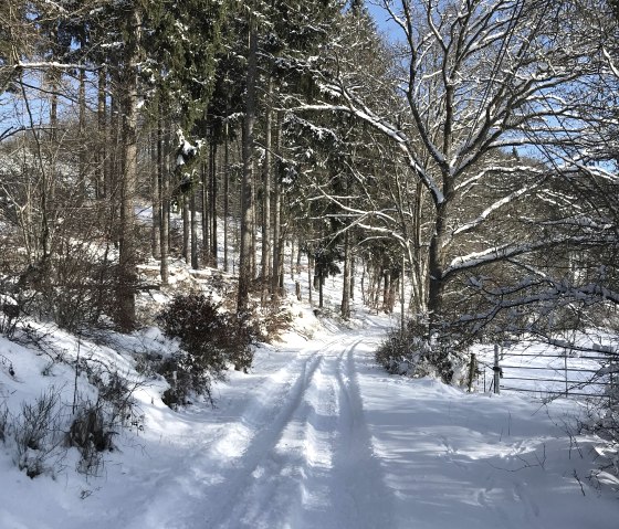 Winter Landscape, © C. Wolter Winter Landscape, © C. Wolter