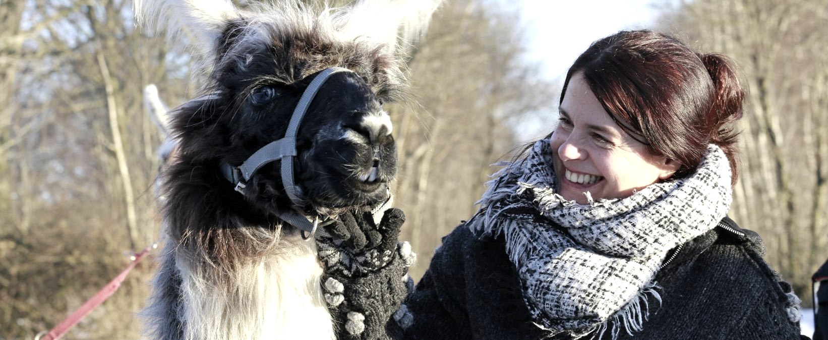 Lama-Wanderung, © Loni Liebermann Lama-Wanderung, © Loni Liebermann