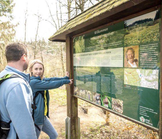 Infotafel an den Narzissenwiesen im Oleftal, © Eifel Tourismus GmbH, Dominik Ketz Infotafel an den Narzissenwiesen im Oleftal, © Eifel Tourismus GmbH, Dominik Ketz