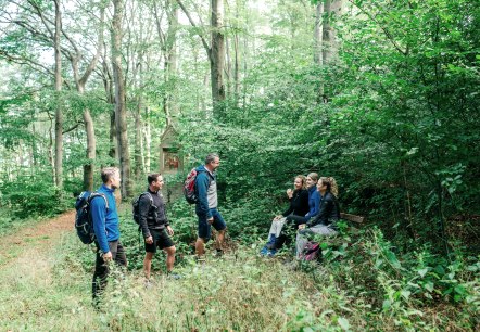 Geführte Wanderung, © Paul Meixner Geführte Wanderung, © Paul Meixner