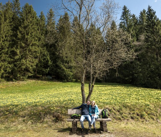 Rest on the daffodil route, © Eifel Tourismus GmbH, Dominik Ketz Rest on the daffodil route, © Eifel Tourismus GmbH, Dominik Ketz