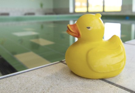 Symbolbild Ente, © Monschauer Land Touristik e.V. Symbolbild Ente, © Monschauer Land Touristik e.V.