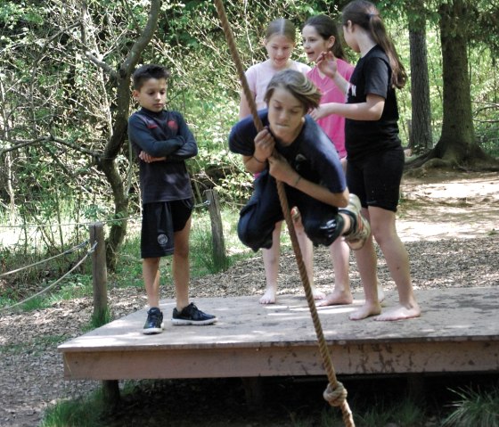 ARBORETUM1, © ARBORETUM ARBORETUM1, © ARBORETUM